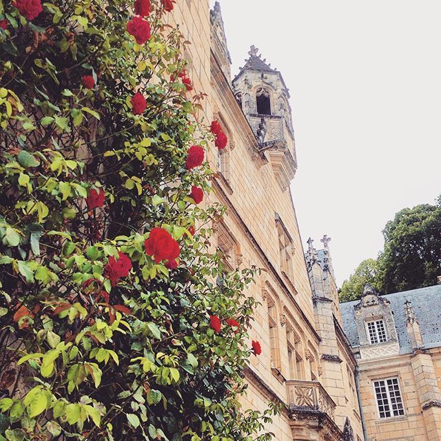 If You Go, You’ll Feel Like Aurora ♡ Do You Know the Setting of "Sleeping Beauty," Château d'Usse?にて紹介している画像