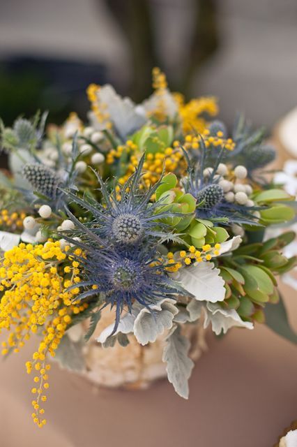 Fluffy Yellow and Adorably Cute Spring Flower: A Wonderful Mimosa Bouquet Catalog ♡にて紹介している画像