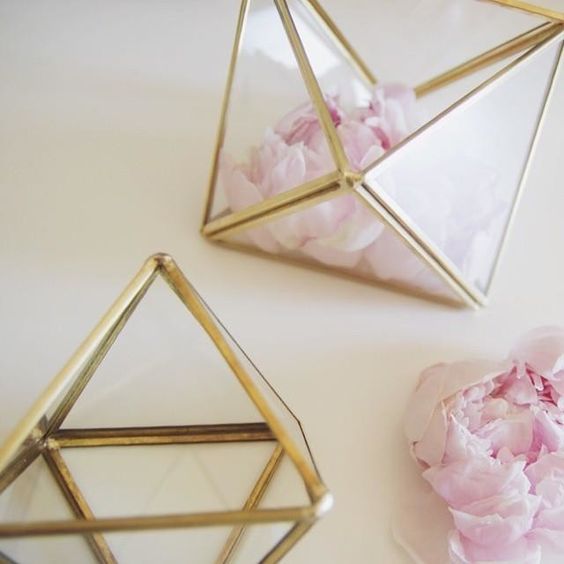 最近よく見る幾何学的なガラスの入れ物♡話題の《ジオメトリックテラリウム》って知ってる？にて紹介している画像