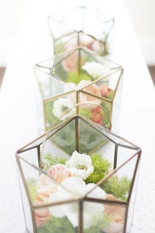 最近よく見る幾何学的なガラスの入れ物♡話題の《ジオメトリックテラリウム》って知ってる？にて紹介している画像