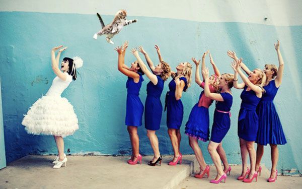 Adorable Expressions: A Cat's Wedding Photo ♡にて紹介している画像