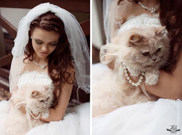 Adorable Expressions: A Cat's Wedding Photo ♡にて紹介している画像