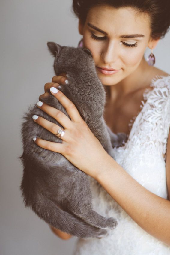 Adorable Expressions: A Cat's Wedding Photo ♡にて紹介している画像