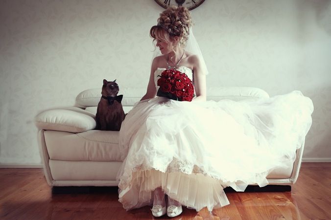 Adorable Expressions: A Cat's Wedding Photo ♡にて紹介している画像