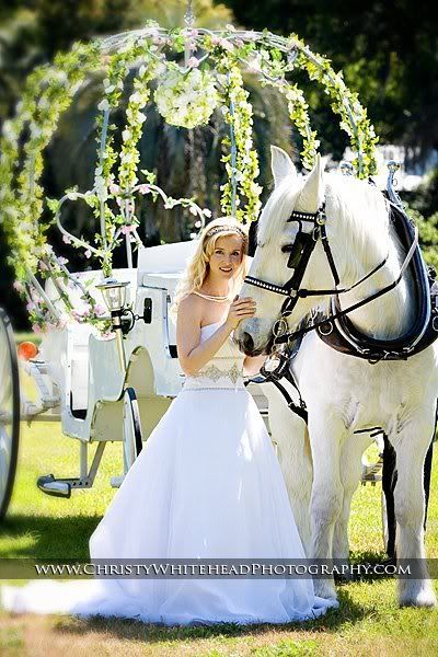 5 Ways to Become a Bride Like Cinderella, the Disney Princess You Dream Of♡にて紹介している画像