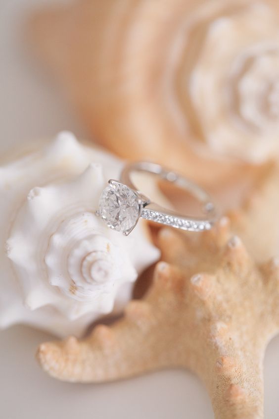 "Capturing the Romance: How to Photograph Your Favorite Engagement Ring in a Disney Princess Style ♥"にて紹介している画像