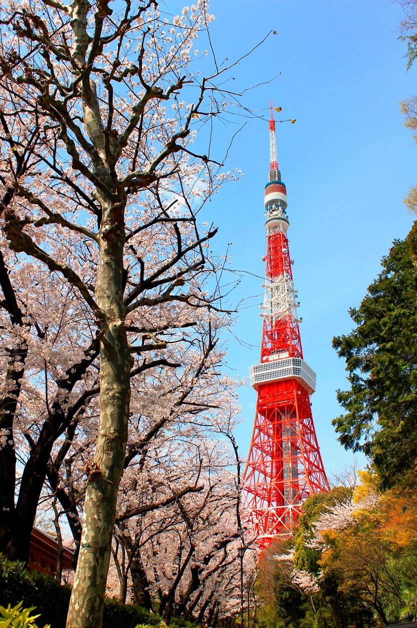 空港にお城、電車まで！結婚式が出来ちゃう、日本全国【驚きの挙式会場】まとめ＊にて紹介している画像