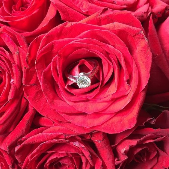 "Capturing the Romance: How to Photograph Your Favorite Engagement Ring in a Disney Princess Style ♥"にて紹介している画像