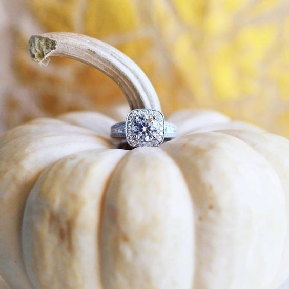 "Capturing the Romance: How to Photograph Your Favorite Engagement Ring in a Disney Princess Style ♥"にて紹介している画像