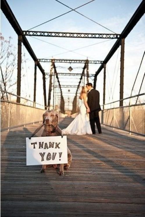 ”ありがとう”が伝わるウェディングフォト♡楽しそうで可愛い写真をとりたい♡にて紹介している画像