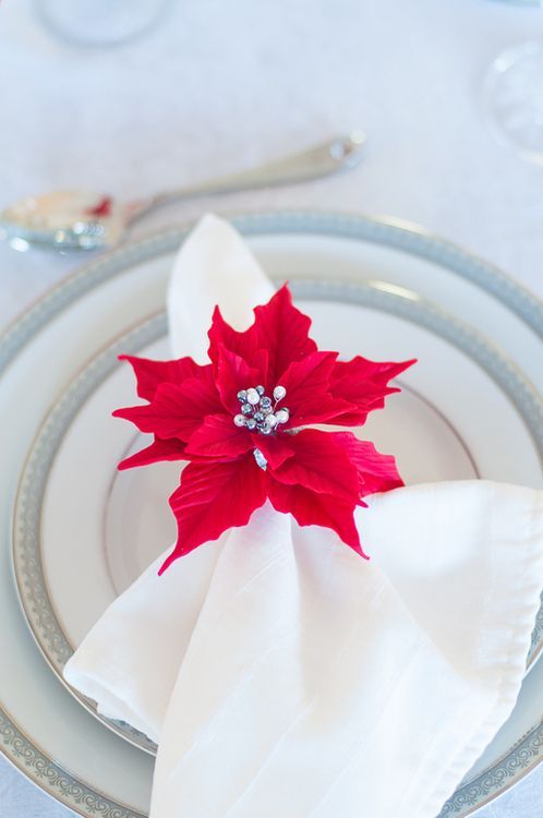 "Add a Touch of Glamour to Your Table: Introducing Perfect 'Decorative Napkins' for Christmas!"にて紹介している画像