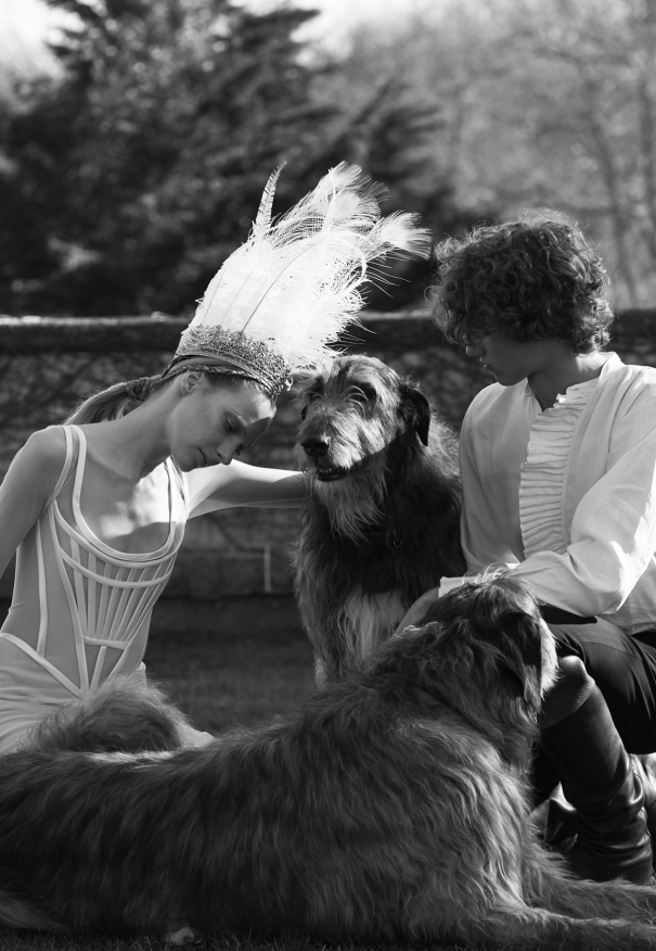 주제는 “위엄 있는 궁전 드레스”＊대인기 ‘베라 왕’의 최신 2017 봄 컬렉션 대공개♡にて紹介している画像