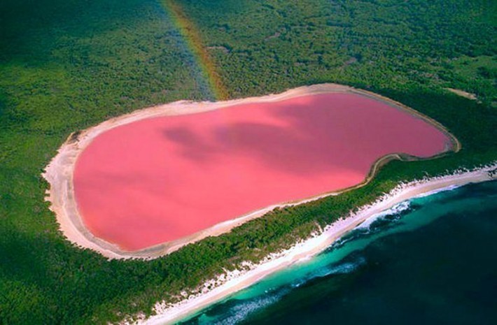 "Pink Wonders of the World: Must-See Stunning Views to Visit at Least Once in a Lifetime"にて紹介している画像