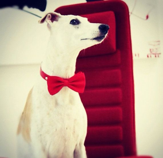 Adorable Ring Pillow for Your Precious Rings: Classic Design Adorned with Flowers and Embroidery! 💖にて紹介している画像