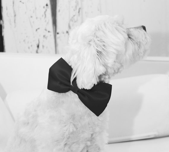 Adorable Ring Pillow for Your Precious Rings: Classic Design Adorned with Flowers and Embroidery! 💖にて紹介している画像