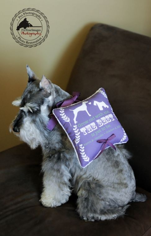 Adorable Ring Pillow for Your Precious Rings: Classic Design Adorned with Flowers and Embroidery! 💖にて紹介している画像