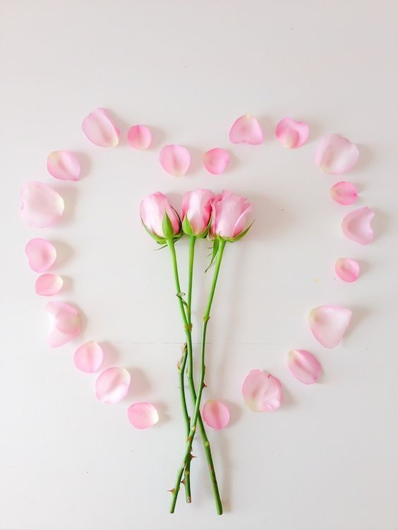 『바라 커튼』만 있다면 기분은 프린세스♡ 천장에서 장미를 매달면 정말 귀여워, 알고 있었어?＊にて紹介している画像