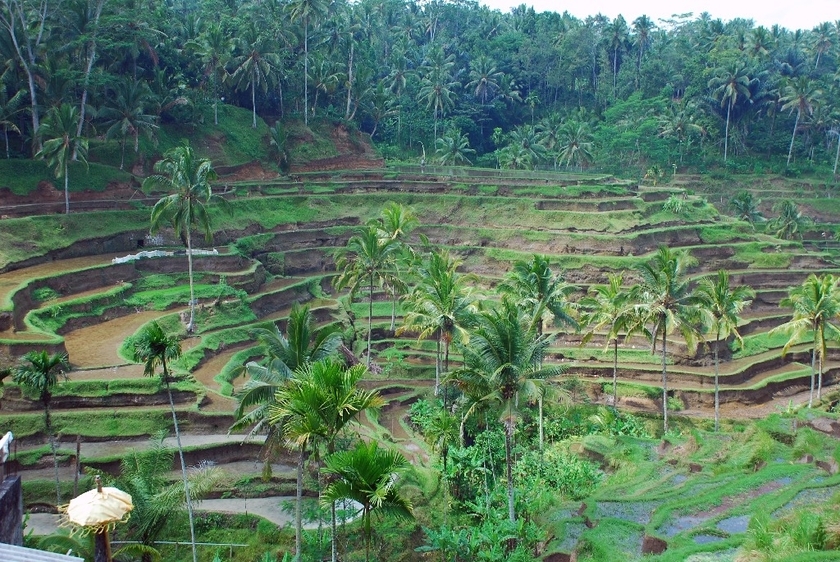 Where in the tropical paradise can you find everything from beaches and nature to luxury? A must-visit destination!にて紹介している画像