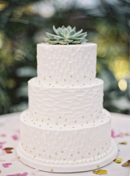 Irresistibly Cute Plumpness: The Trend of Wedding Cakes Featuring Succulents Is on the Rise!にて紹介している画像