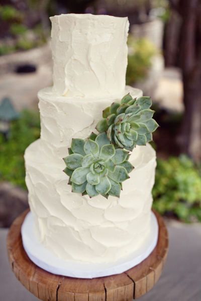 Irresistibly Cute Plumpness: The Trend of Wedding Cakes Featuring Succulents Is on the Rise!にて紹介している画像