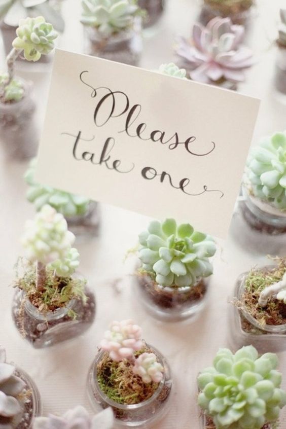 Irresistibly Cute Plumpness: The Trend of Wedding Cakes Featuring Succulents Is on the Rise!にて紹介している画像