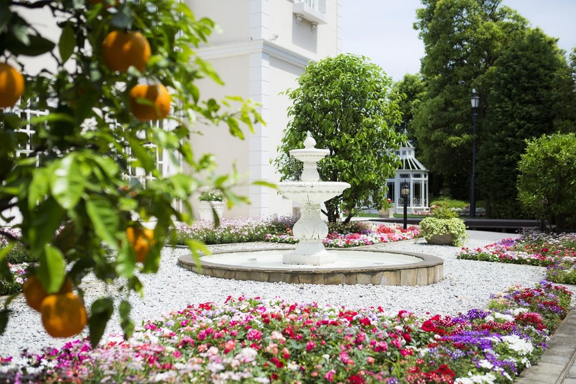 Anniversaire Invites 90 Couples to a Free Summer Vacation Gift Event for Movie-Style Photos♡にて紹介している画像