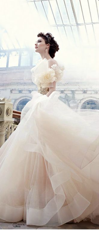 A Dreamy Collection of Princess Line Wedding Dresses You Must Try at Least Once♡にて紹介している画像