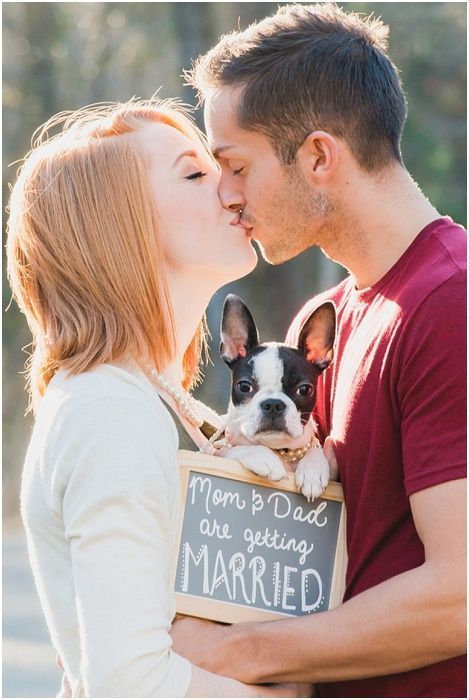 Pets Are Family Too: Adorable Wedding Shots with Dogs and Cats! ♡にて紹介している画像