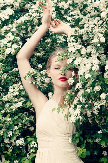 Add a Touch of Sexy RED This Christmas with Points: Embrace Your Inner Sophisticated Woman!にて紹介している画像