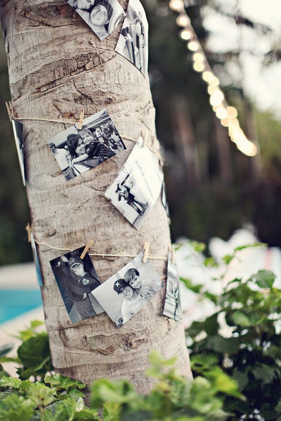 ガーデンウェディングにぴったり♡お庭の木に、写真を飾り付けする方法まとめ＊にて紹介している画像