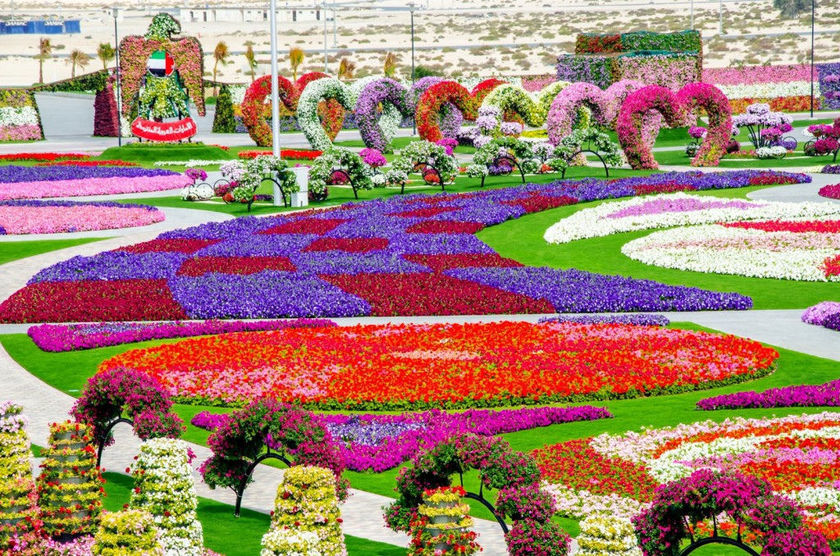 A Miracle Garden Overflowing with Wonders and Cuteness♡ Dubai's 'Miracle Garden' Goes Viral for Its Photogenic Beauty!にて紹介している画像