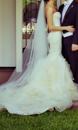 Eternal Love Symbol: A Collection of Breathtaking Images of Long Veilsにて紹介している画像