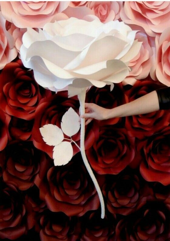 "Discovered on Instagram: A Special Feature on Adorable 'Hide-and-Seek Kiss Shots' Using Giant Flowers♡"にて紹介している画像
