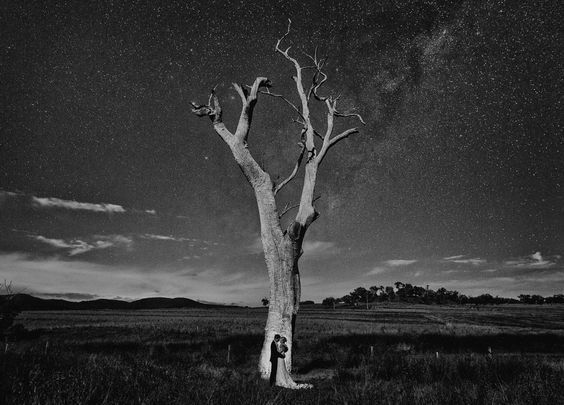 1000% Romantic! A Stunning Photo Collection Capturing the Best Moments of Destination Weddings ♡にて紹介している画像