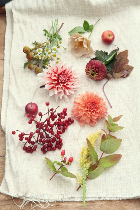 "Autumn Bouquet Showcase: Adorable Flowers That Warm Your Heart with Cozy Colors"にて紹介している画像