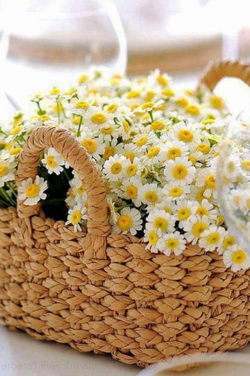 Packed with Blooms: Adorable Basket Bouquets from Experienced Brides! ♡にて紹介している画像