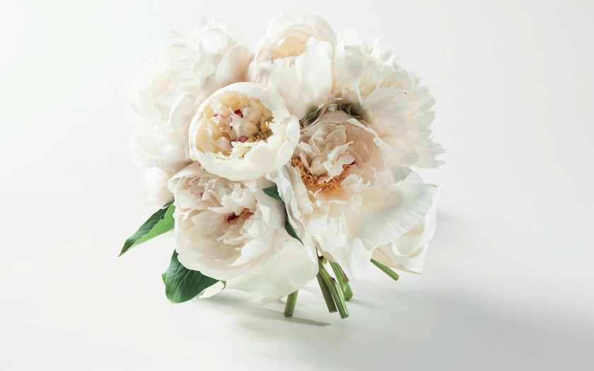 Bouquet Special: Simple and Cute Bouquets Made with Popular Flowers like Baby's Breath, Roses, and Gerberas (Created with Just One Flower Type) ♡にて紹介している画像