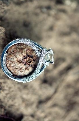 A Collection of Adorable Sparkling Rings Featuring Large Diamonds ♡にて紹介している画像