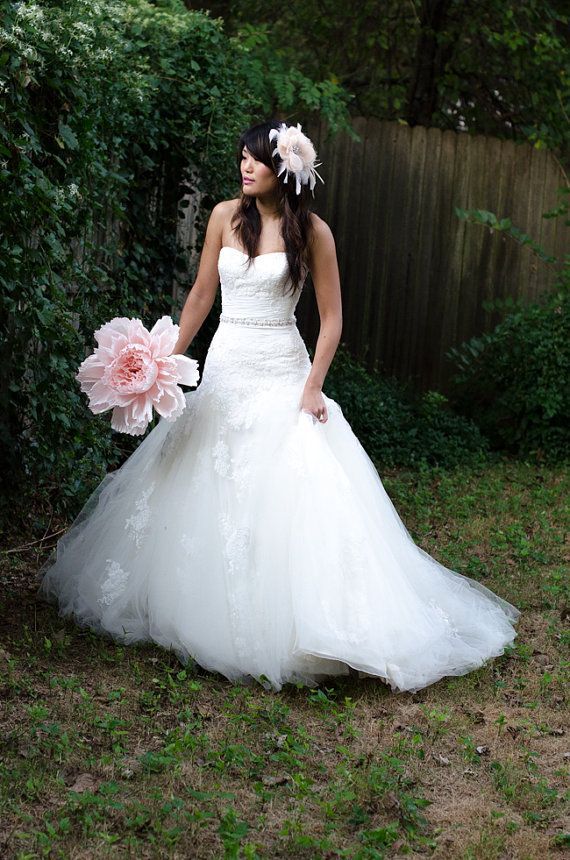 Do You Know About Giant Paper Roses? The Adorable Magic of Big Flowers!にて紹介している画像