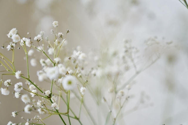 Natural and Cute ♡ A Bride's Hairstyle Catalog Featuring Babysbreath Arrangements＊にて紹介している画像