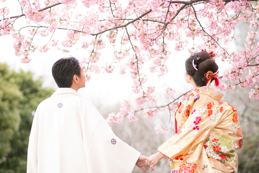 Limited to the first 20 groups: Get all data for just ¥138,000♡ Still time to reserve your Cherry Blossom Location Photo shoot here＊にて紹介している画像
