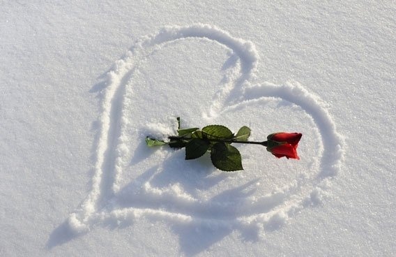 銀世界に舞い降りた奇跡♡降りしきる雪の中のプロポーズが最高にロマンティック！にて紹介している画像