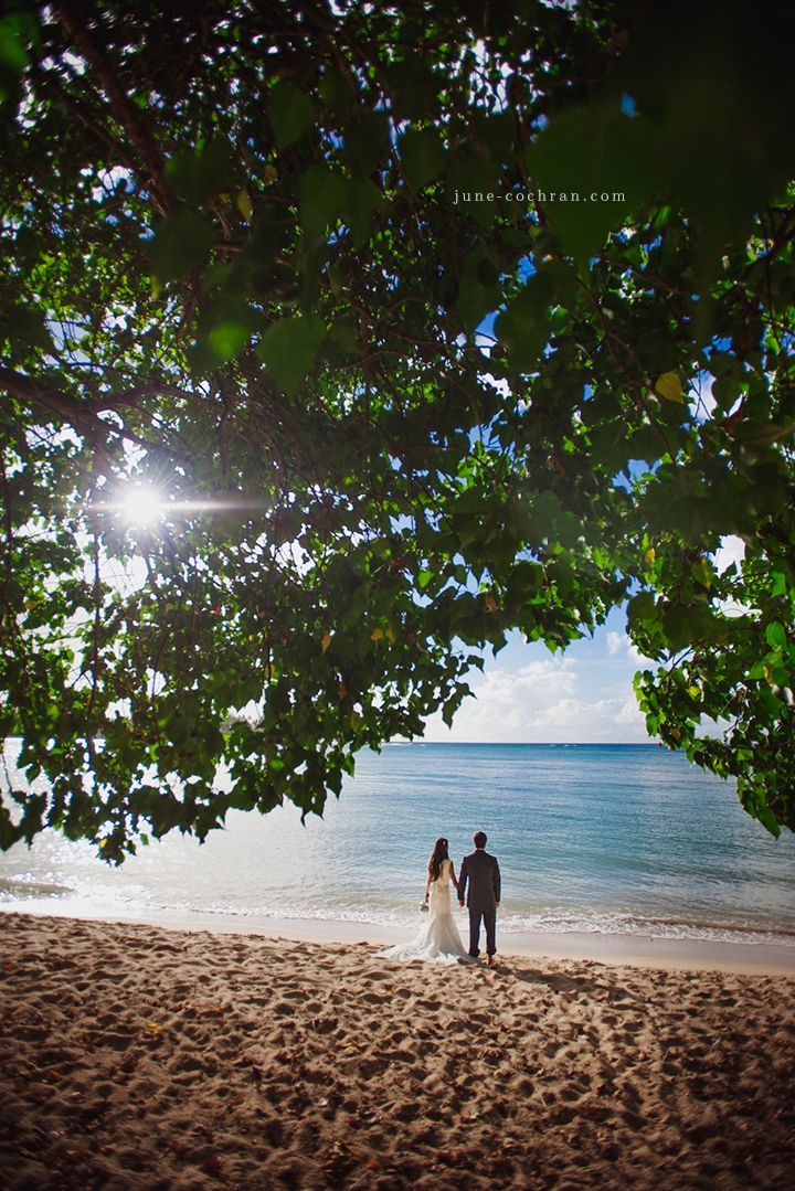 Must-Visit Destinations Before You Die! Touching Wedding Moments in the World's Breathtaking Scenery ♡にて紹介している画像