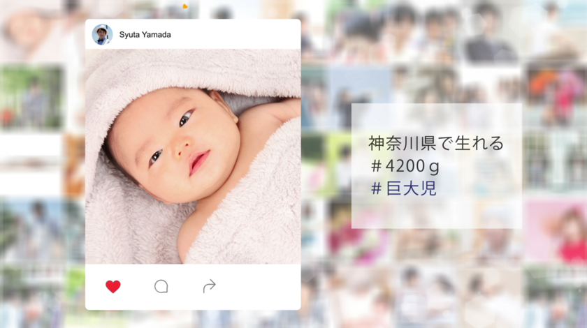 Under 30,000 Yen! 5 Stylish High-Quality Profile Movies That Will Impress Your Guests*にて紹介している画像