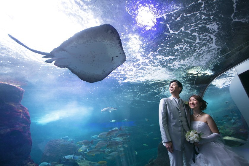 "Extraordinarily Beautiful: 4 Must-Visit Locations for Unforgettable Wedding Photos"にて紹介している画像