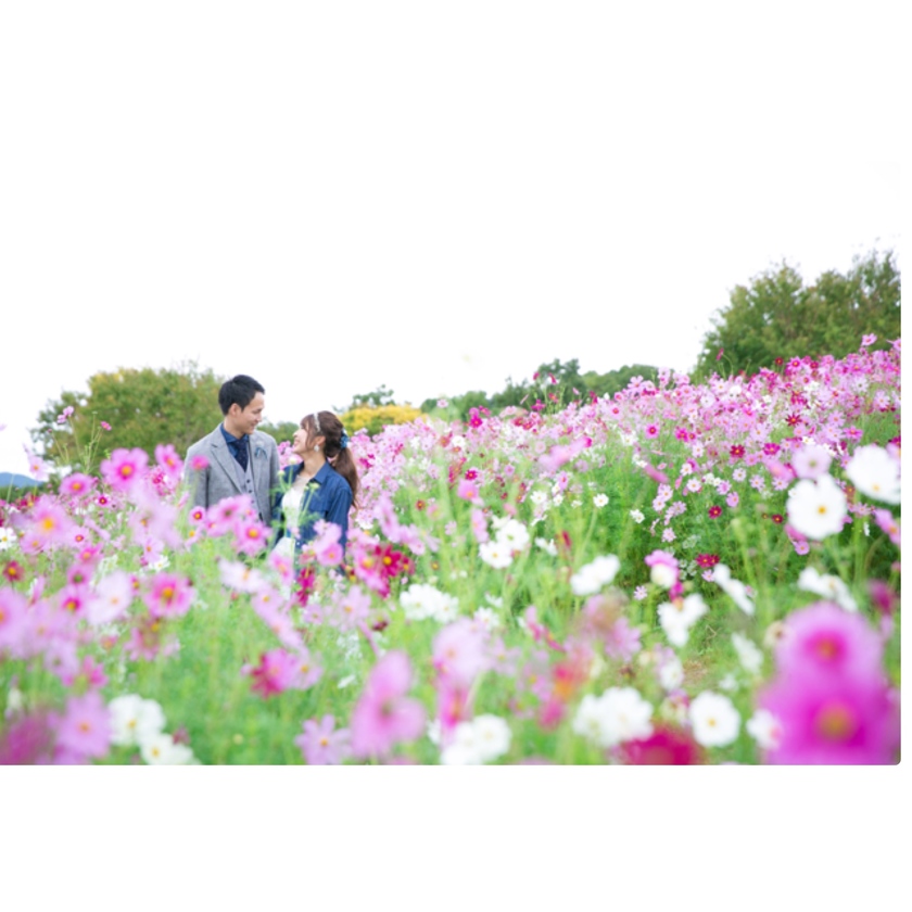 Which Flowers Do You Want to Capture? ♡ A Seasonal Guide to Recommended Flower Fields for Location Photosにて紹介している画像