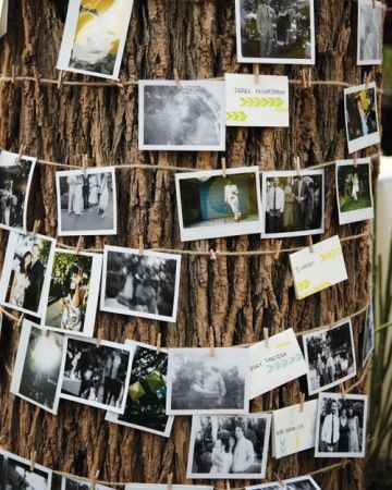 "Embrace Warmth: Capture Wedding Memories with a Retro Cute Instant Camera!"にて紹介している画像