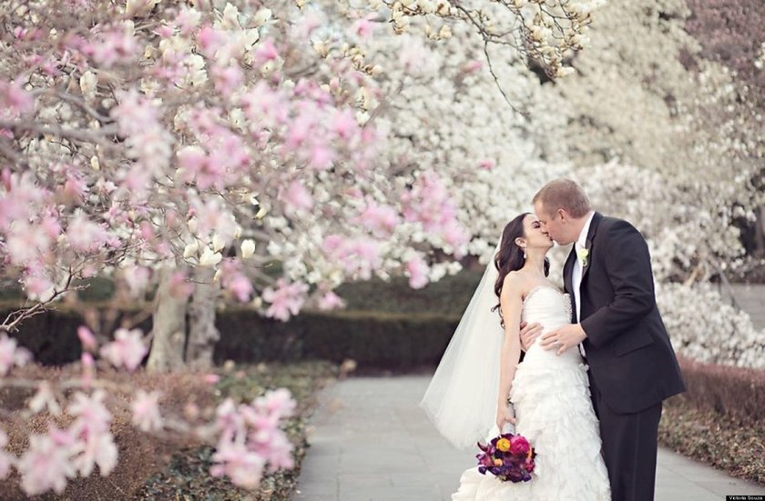 Sakura Blooms: A Princess in a Pink Background - The Enchanting Sakura Wedding!にて紹介している画像