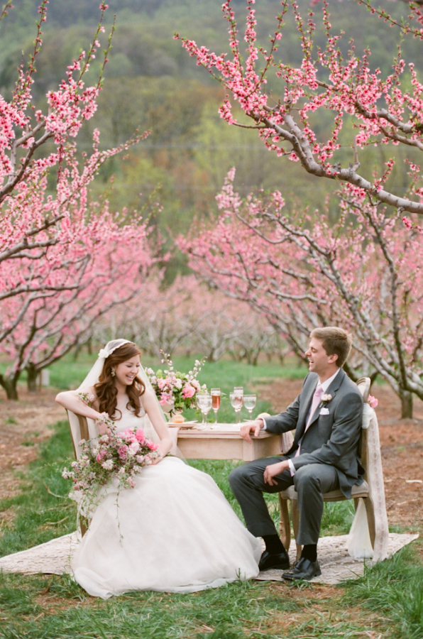 Sakura Blooms: A Princess in a Pink Background - The Enchanting Sakura Wedding!にて紹介している画像