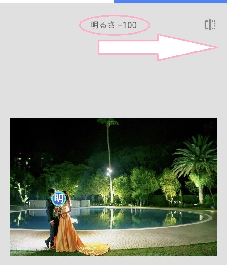 Brighten Dark Photos Easily and Beautifully in Just 3 Minutes!にて紹介している画像